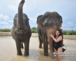 Elephant Jungle Sanctuary excursion in Pattaya Thailand - photo 1006