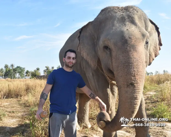 Elephant Jungle Sanctuary excursion in Pattaya Thailand - photo 518