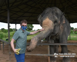 Elephant Jungle Sanctuary excursion in Pattaya Thailand - photo 1037