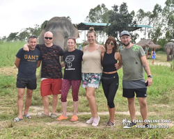 Elephant Jungle Sanctuary excursion in Pattaya Thailand - photo 135