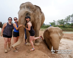 Elephant Jungle Sanctuary excursion in Pattaya Thailand - photo 739