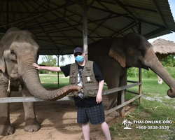 Elephant Jungle Sanctuary excursion in Pattaya Thailand - photo 749