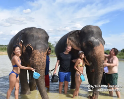 Elephant Jungle Sanctuary excursion in Pattaya Thailand - photo 818