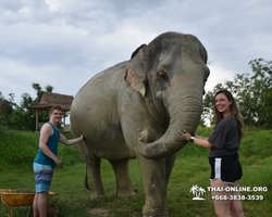 Elephant Jungle Sanctuary excursion in Pattaya Thailand - photo 1026