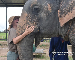 Elephant Jungle Sanctuary excursion in Pattaya Thailand - photo 690