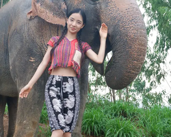 Elephant Jungle Sanctuary excursion in Pattaya Thailand - photo 15