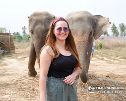 Elephant Jungle Sanctuary excursion in Pattaya Thailand - photo 883