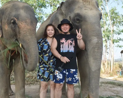 Elephant Jungle Sanctuary excursion in Pattaya Thailand - photo 33