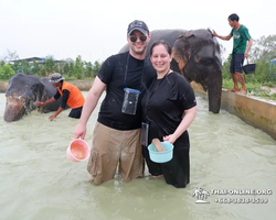 Elephant Jungle Sanctuary excursion in Pattaya Thailand - photo 1016