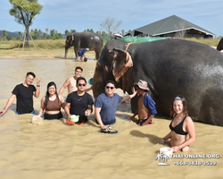 Elephant Jungle Sanctuary excursion in Pattaya Thailand - photo 869