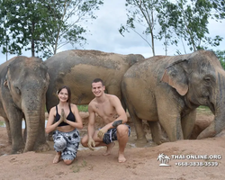 Elephant Jungle Sanctuary excursion in Pattaya Thailand - photo 170