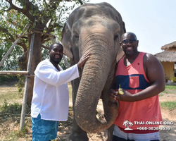 Elephant Jungle Sanctuary excursion in Pattaya Thailand - photo 211