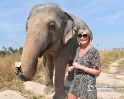 Elephant Jungle Sanctuary excursion in Pattaya Thailand - photo 451