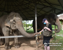 Elephant Jungle Sanctuary excursion in Pattaya Thailand - photo 786