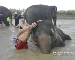 Elephant Jungle Sanctuary excursion in Pattaya Thailand - photo 1108