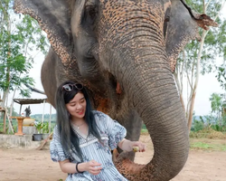 Elephant Jungle Sanctuary excursion in Pattaya Thailand - photo 171