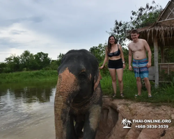Elephant Jungle Sanctuary excursion in Pattaya Thailand - photo 932