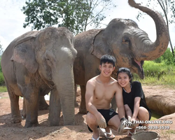 Elephant Jungle Sanctuary excursion in Pattaya Thailand - photo 352