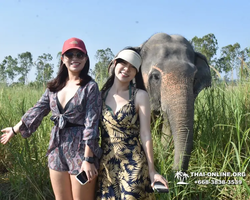 Elephant Jungle Sanctuary excursion in Pattaya Thailand - photo 125