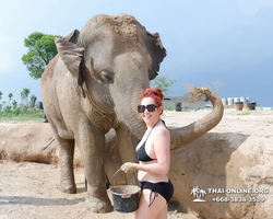 Elephant Jungle Sanctuary excursion in Pattaya Thailand - photo 719