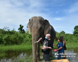 Elephant Jungle Sanctuary excursion in Pattaya Thailand - photo 936
