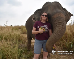 Elephant Jungle Sanctuary excursion in Pattaya Thailand - photo 845