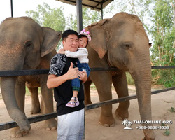 Elephant Jungle Sanctuary excursion in Pattaya Thailand - photo 459