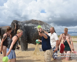 Elephant Jungle Sanctuary excursion in Pattaya Thailand - photo 937