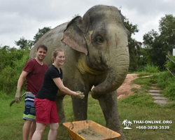Elephant Jungle Sanctuary excursion in Pattaya Thailand - photo 876