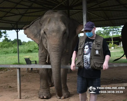 Elephant Jungle Sanctuary excursion in Pattaya Thailand - photo 921