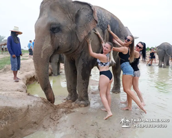 Elephant Jungle Sanctuary excursion in Pattaya Thailand - photo 758