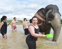 Elephant Jungle Sanctuary excursion in Pattaya Thailand - photo 1029