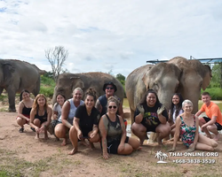 Elephant Jungle Sanctuary excursion in Pattaya Thailand - photo 663