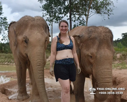 Elephant Jungle Sanctuary excursion in Pattaya Thailand - photo 541