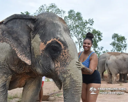 Elephant Jungle Sanctuary excursion in Pattaya Thailand - photo 448