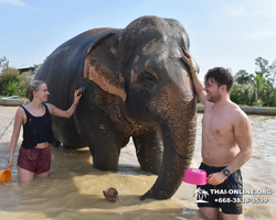 Elephant Jungle Sanctuary excursion in Pattaya Thailand - photo 815