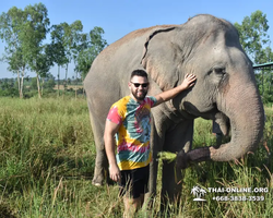 Elephant Jungle Sanctuary excursion in Pattaya Thailand - photo 25