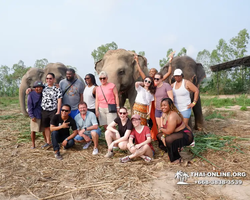 Elephant Jungle Sanctuary excursion in Pattaya Thailand - photo 127