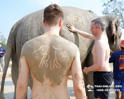 Elephant Jungle Sanctuary excursion in Pattaya Thailand - photo 1031