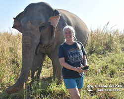 Elephant Jungle Sanctuary excursion in Pattaya Thailand - photo 158