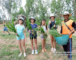 Elephant Jungle Sanctuary excursion in Pattaya Thailand - photo 2