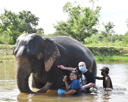 Elephant Jungle Sanctuary excursion in Pattaya Thailand - photo 431