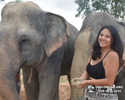 Elephant Jungle Sanctuary excursion in Pattaya Thailand - photo 650