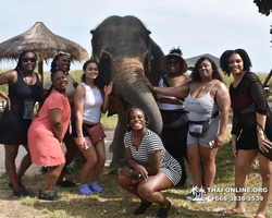 Elephant Jungle Sanctuary excursion in Pattaya Thailand - photo 460