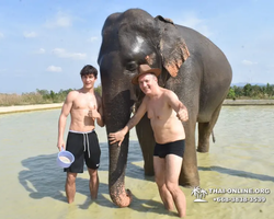 Elephant Jungle Sanctuary excursion in Pattaya Thailand - photo 1072