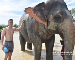 Elephant Jungle Sanctuary excursion in Pattaya Thailand - photo 659