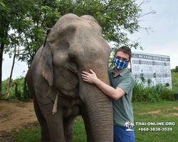 Elephant Jungle Sanctuary excursion in Pattaya Thailand - photo 494