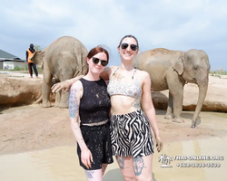 Elephant Jungle Sanctuary excursion in Pattaya Thailand - photo 1002