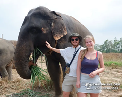 Elephant Jungle Sanctuary excursion in Pattaya Thailand - photo 703