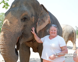 Elephant Jungle Sanctuary excursion in Pattaya Thailand - photo 794